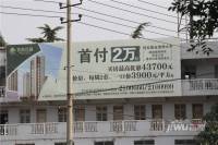 特凿花园实景图7