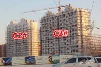 濉河庭院实景图13