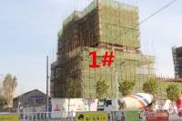 天杰帝景实景图1
