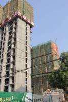 特凿花园实景图7