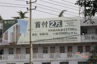 特凿花园实景图7